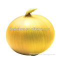 F1 Hybrid Onion Seeds for planting
